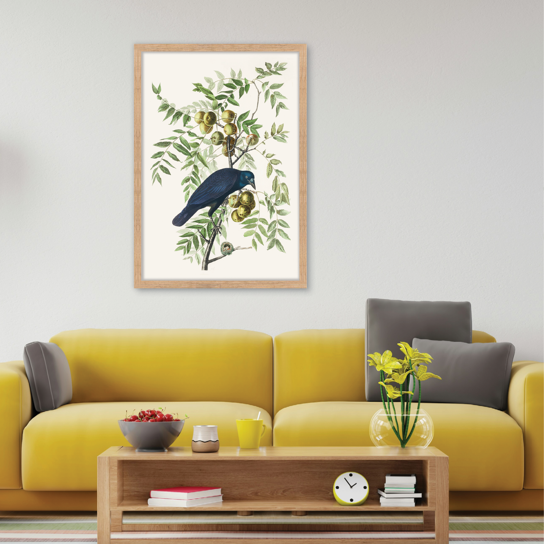 American Crow