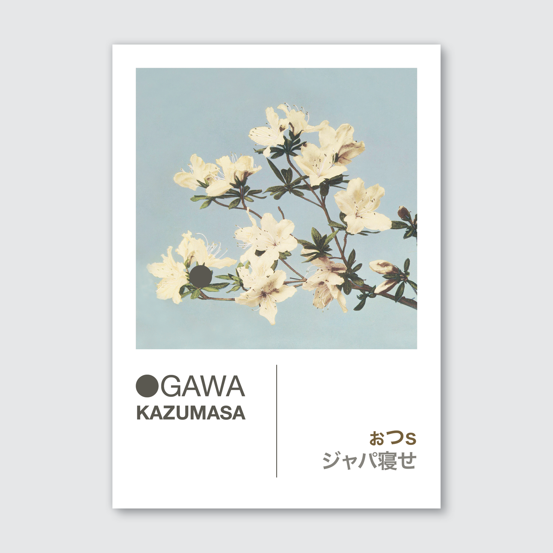 Azaleas