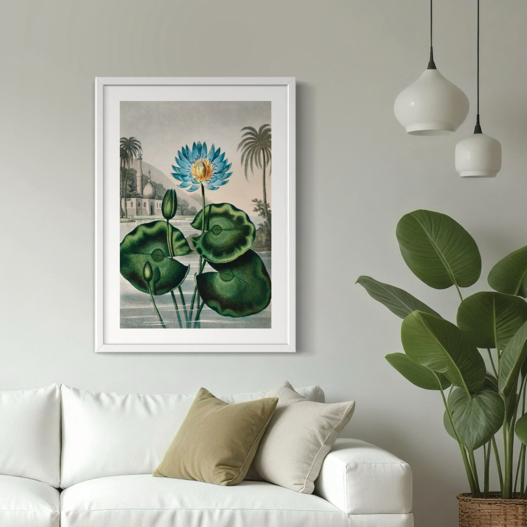 Blue Egyptian Water Lily (1807)