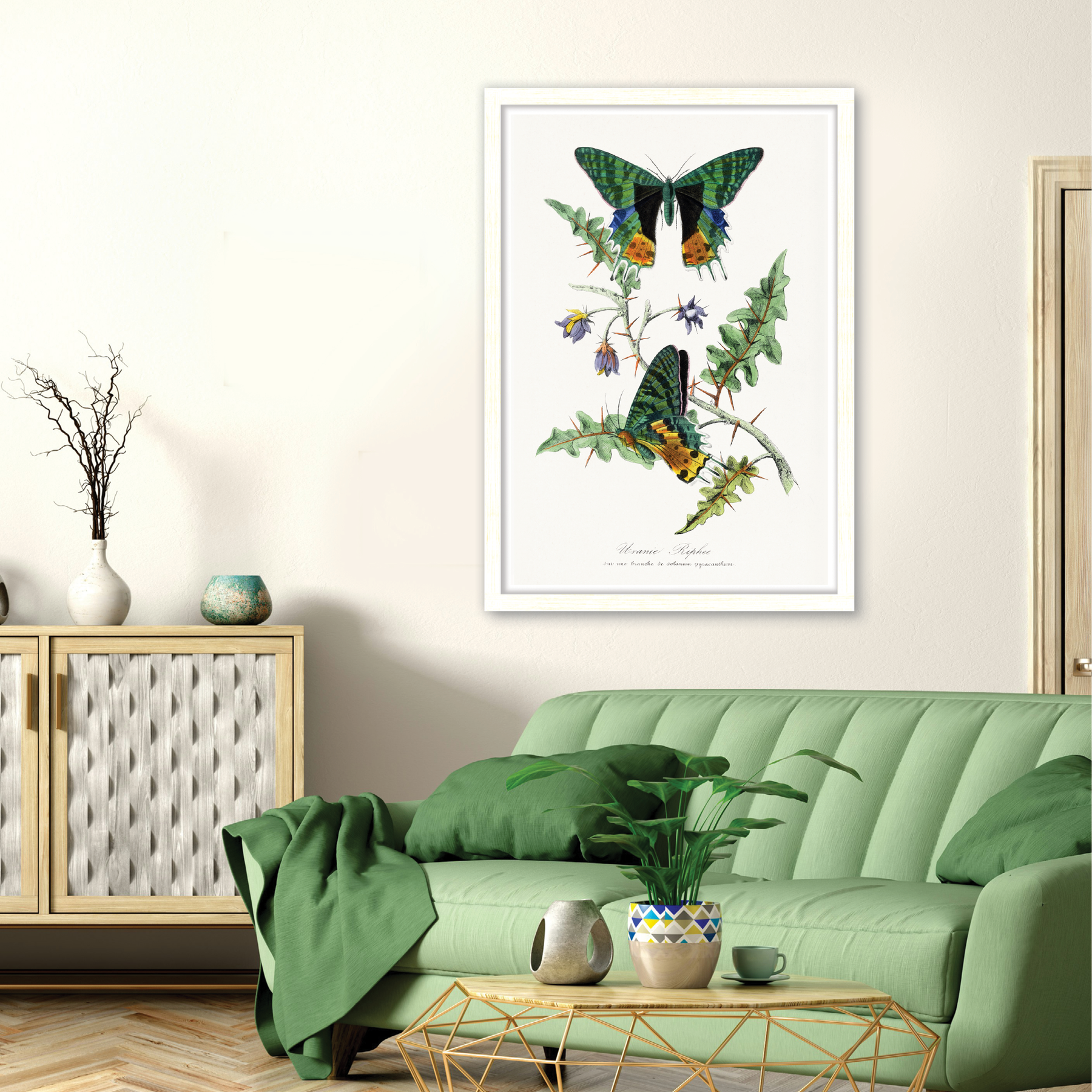 Butterfly