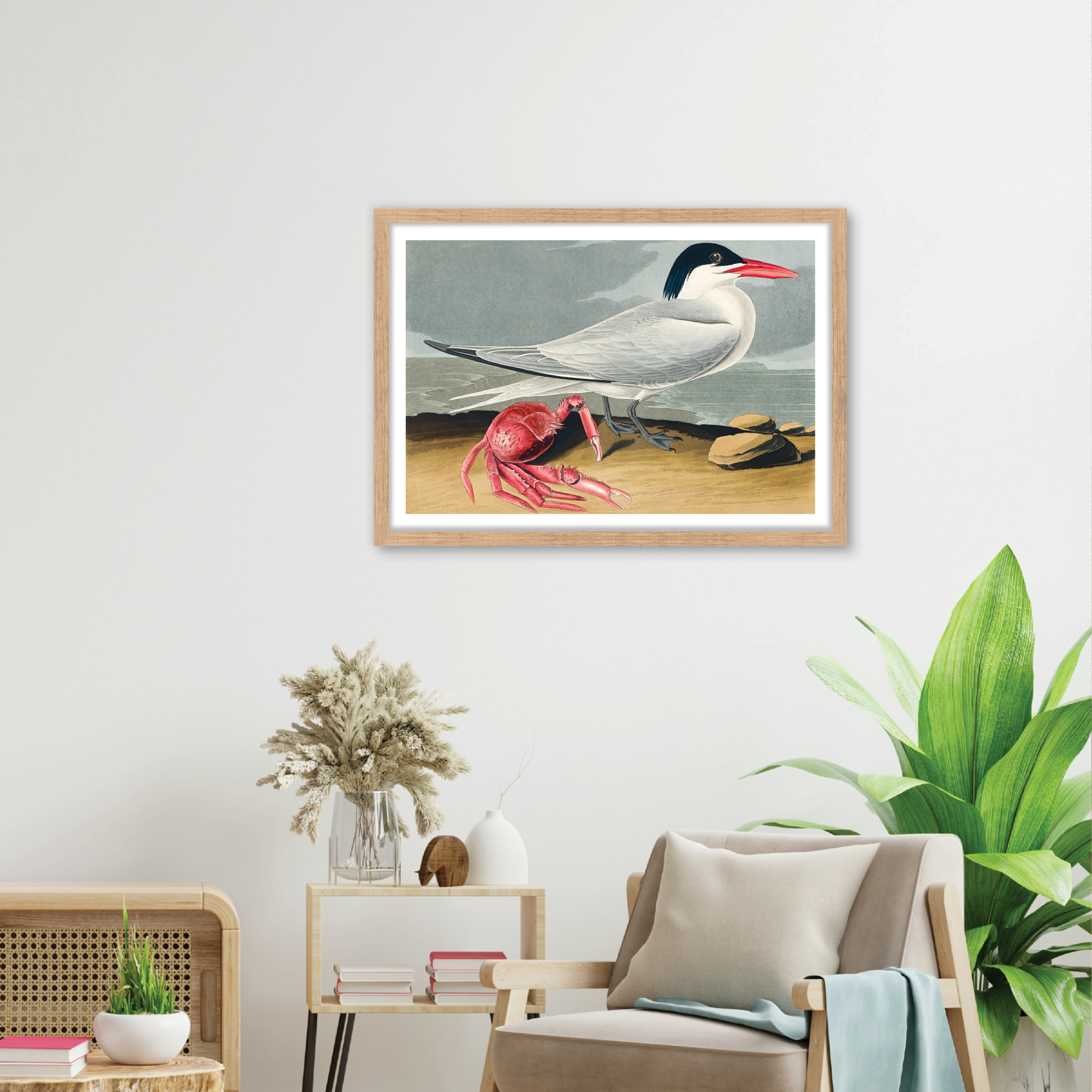 Cayenne Tern