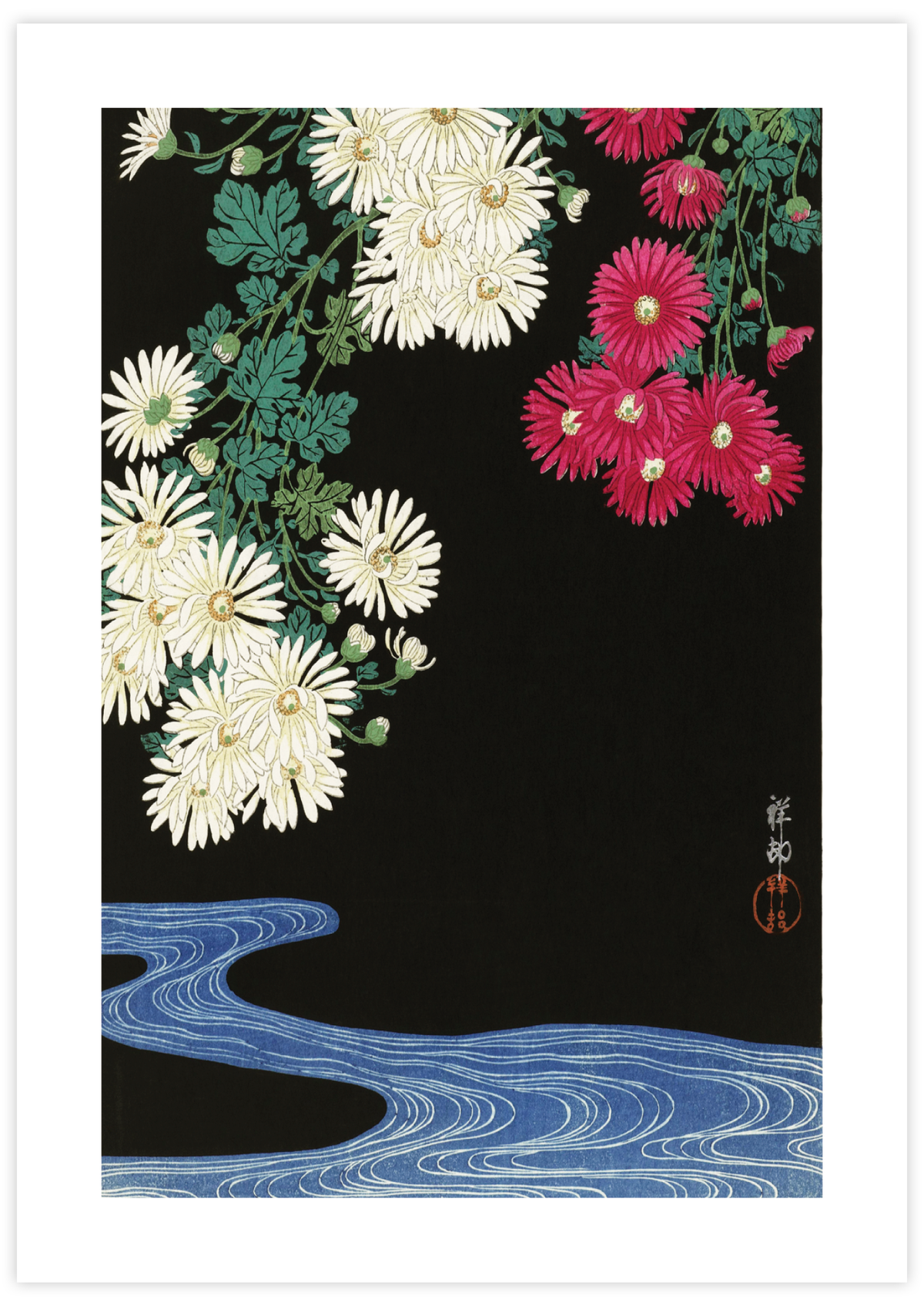 Chrysanthemums