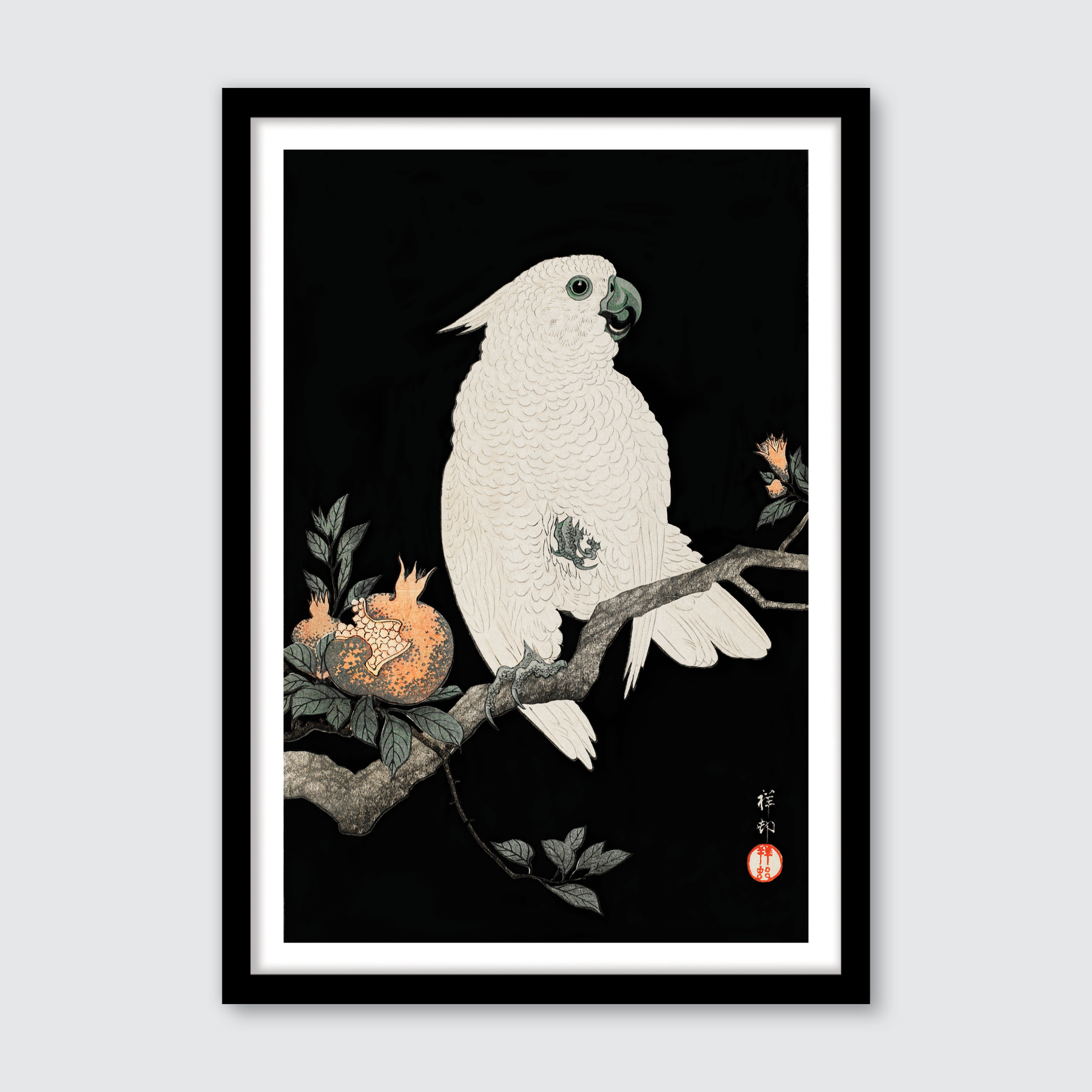 Cockatoo & Pomegranate
