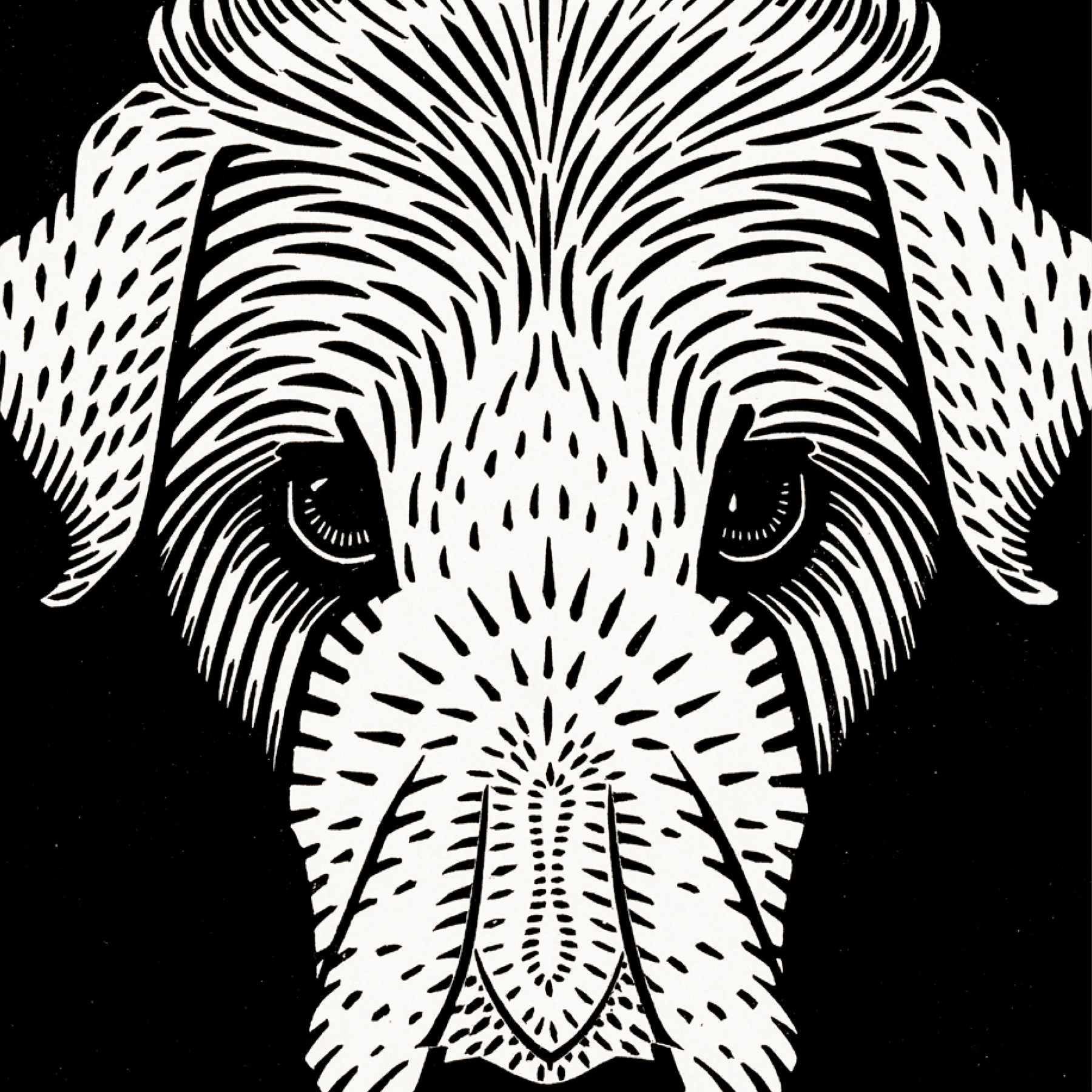 Dog's Head (1920)