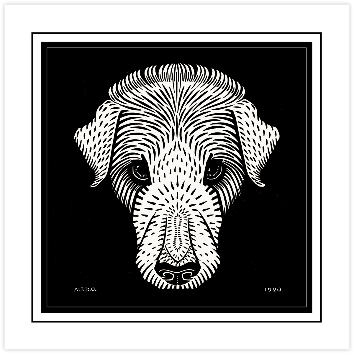 Dog's Head (1920)
