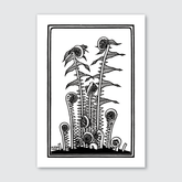 Ferns (1920)