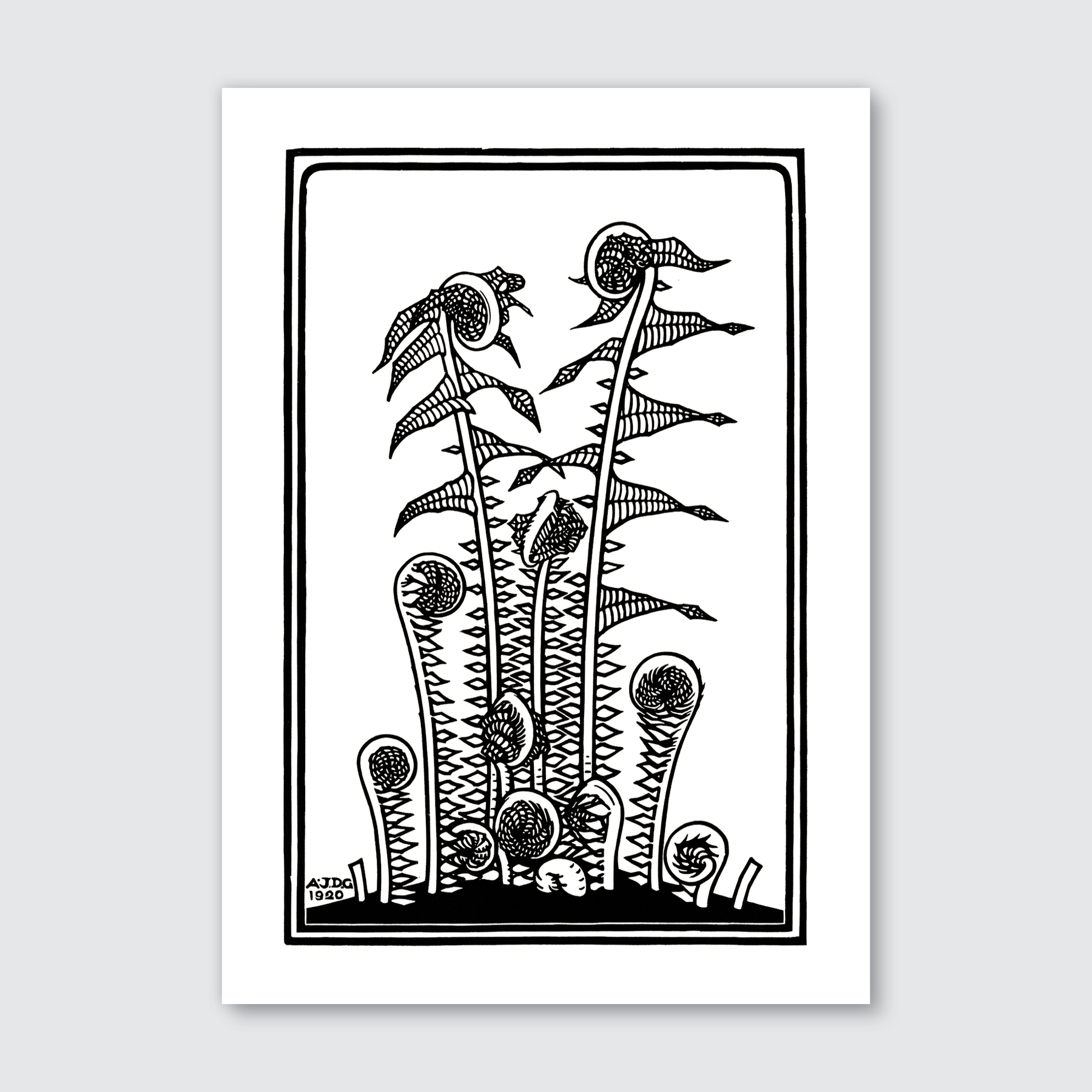 Ferns (1920)