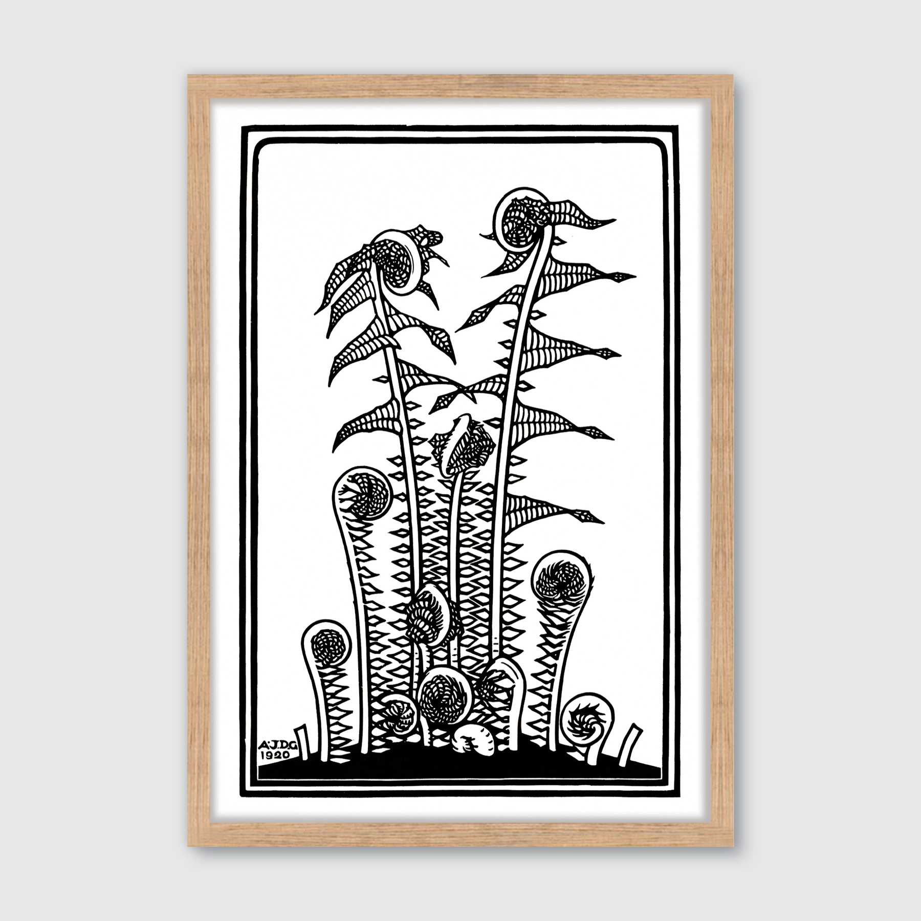 Ferns (1920)