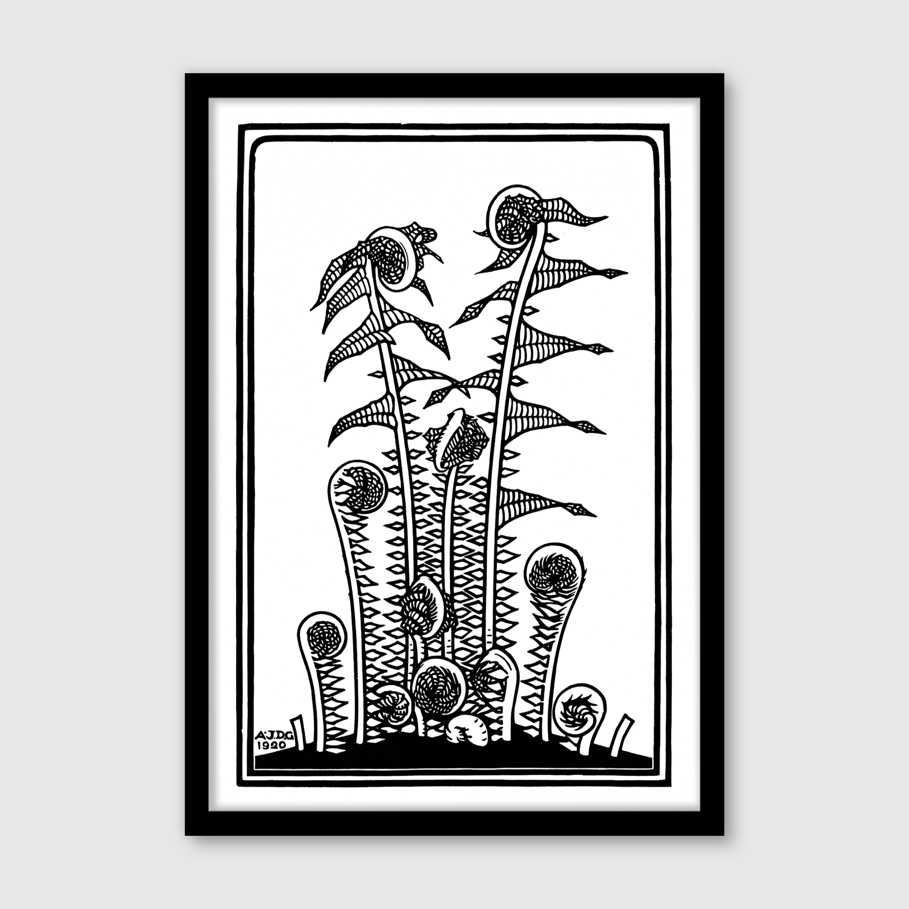 Ferns (1920)