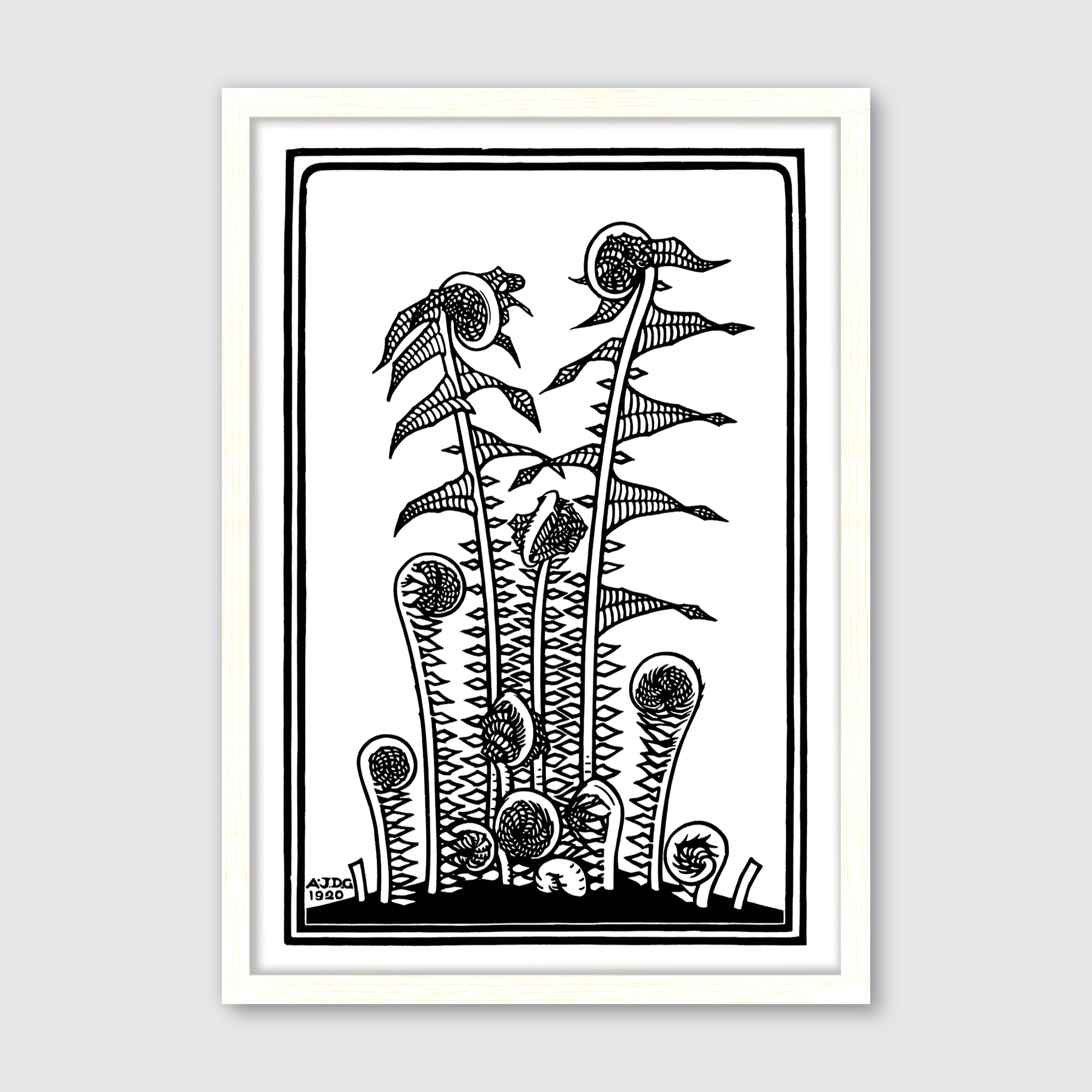 Ferns (1920)
