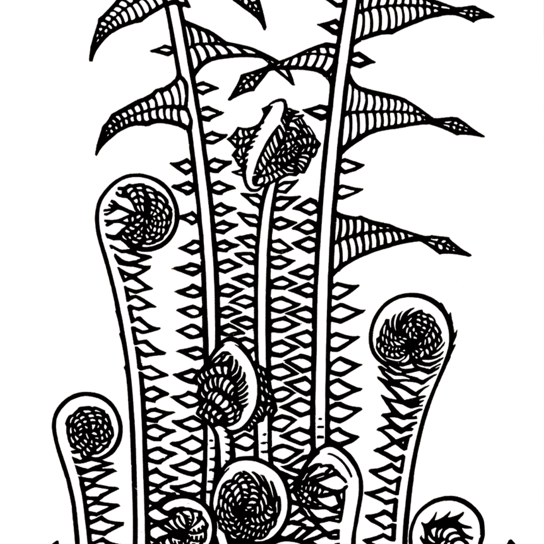 Ferns (1920)
