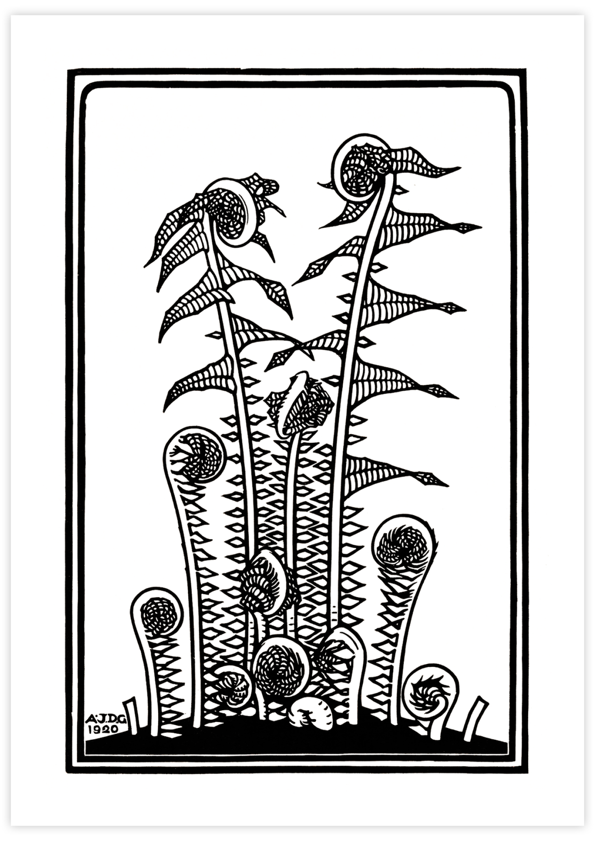 Ferns (1920)