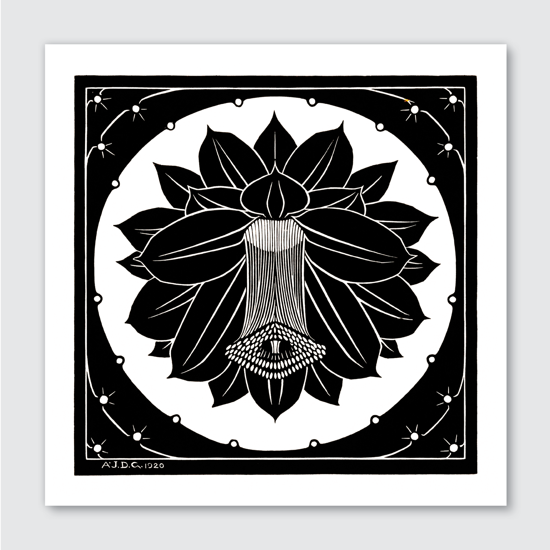 Flower (1920)