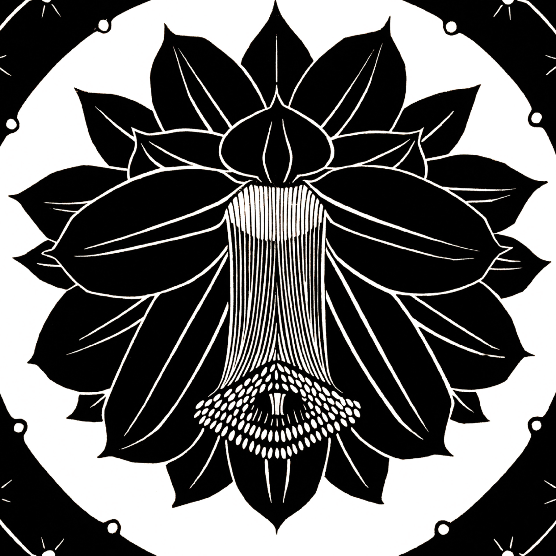 Flower (1920)