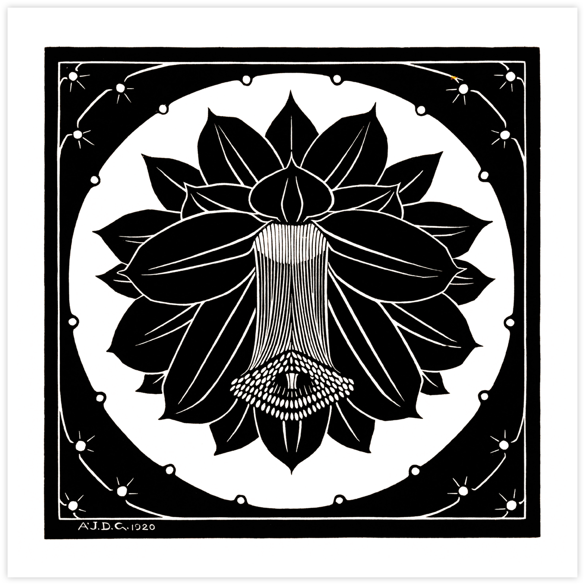 Flower (1920)