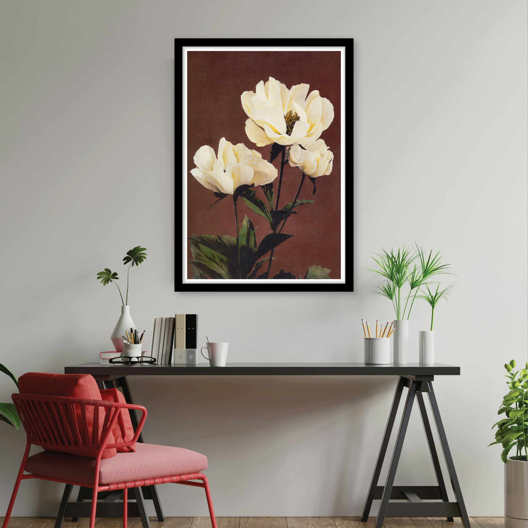 Hærdaceous Peony