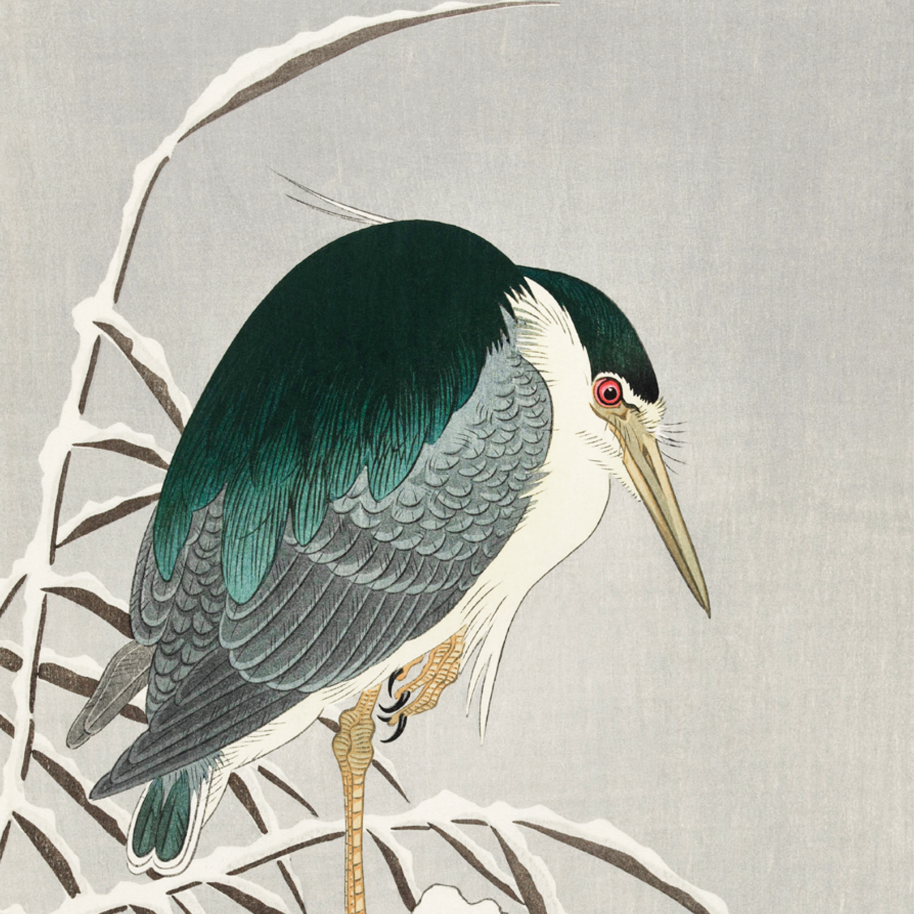 Heron in Snow