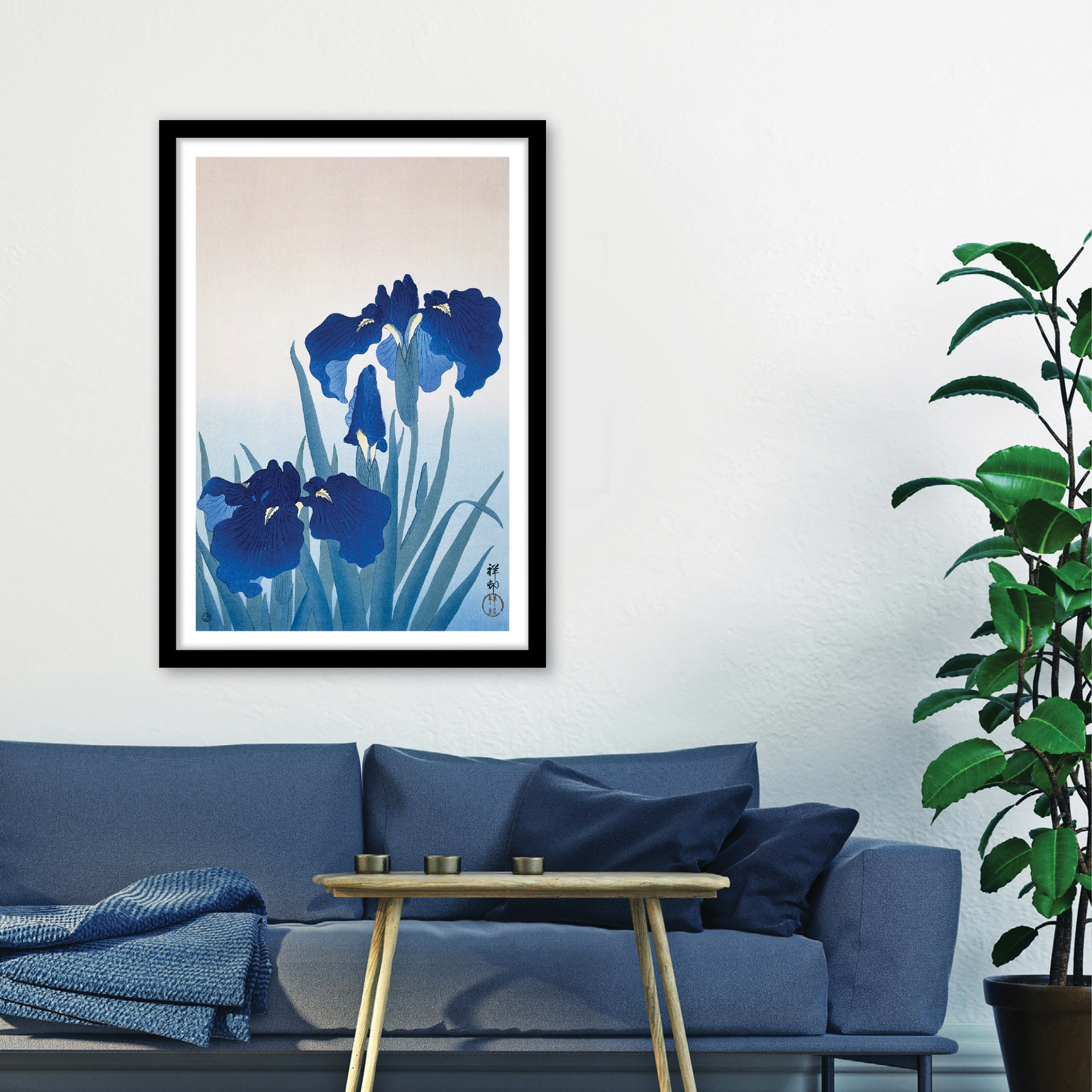 Iris Flowers