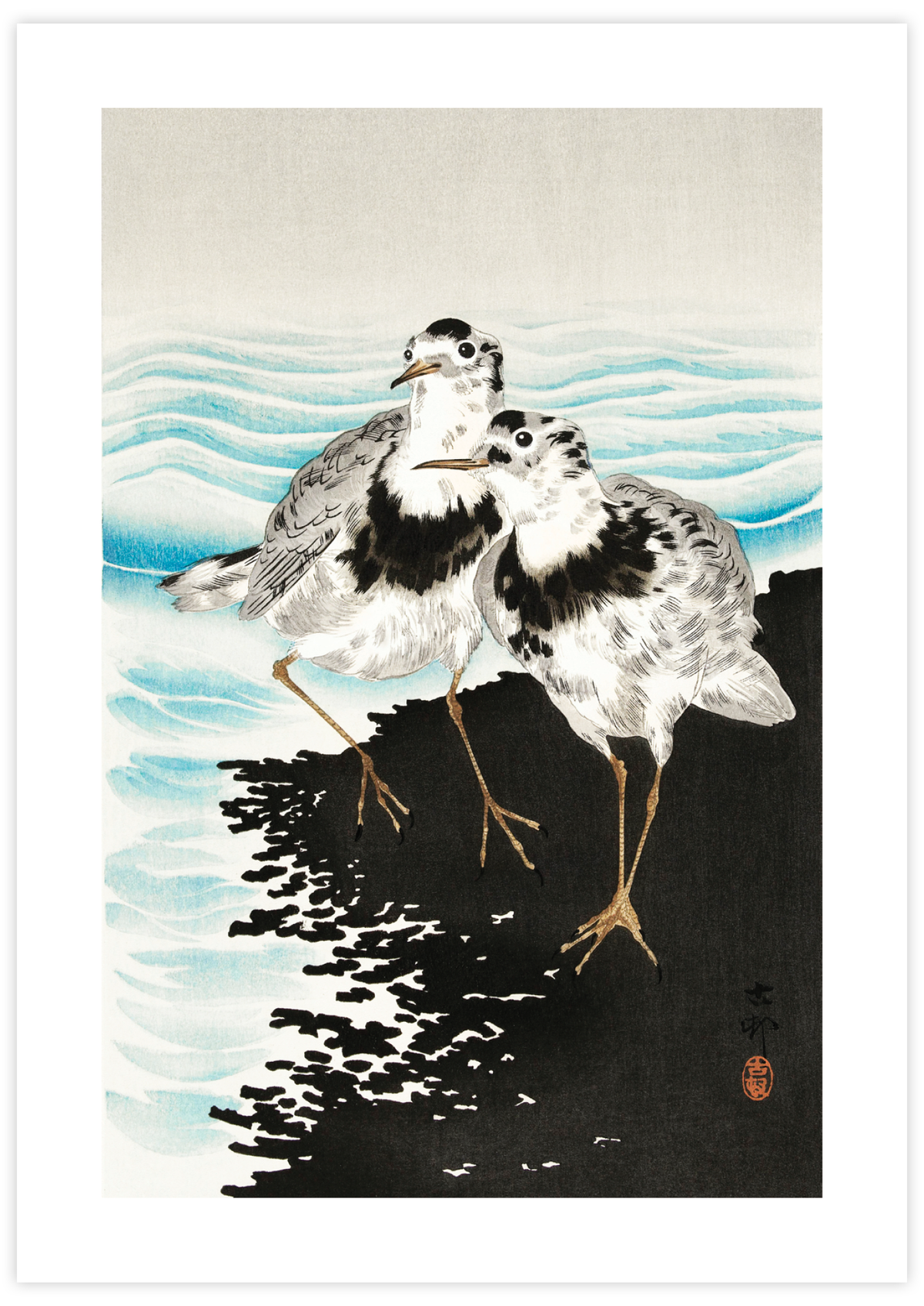 Large Coot Sandpipers