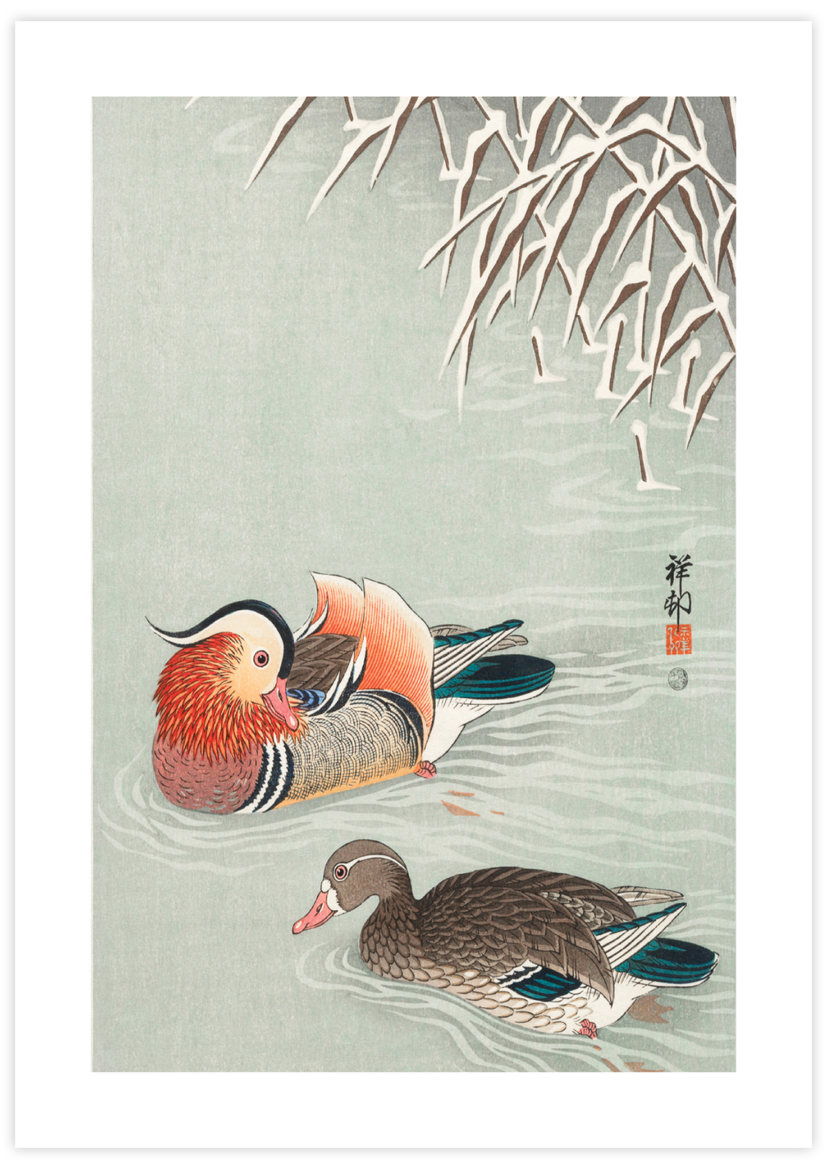 Mandarin Ducks