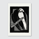 Parakeets (1927)