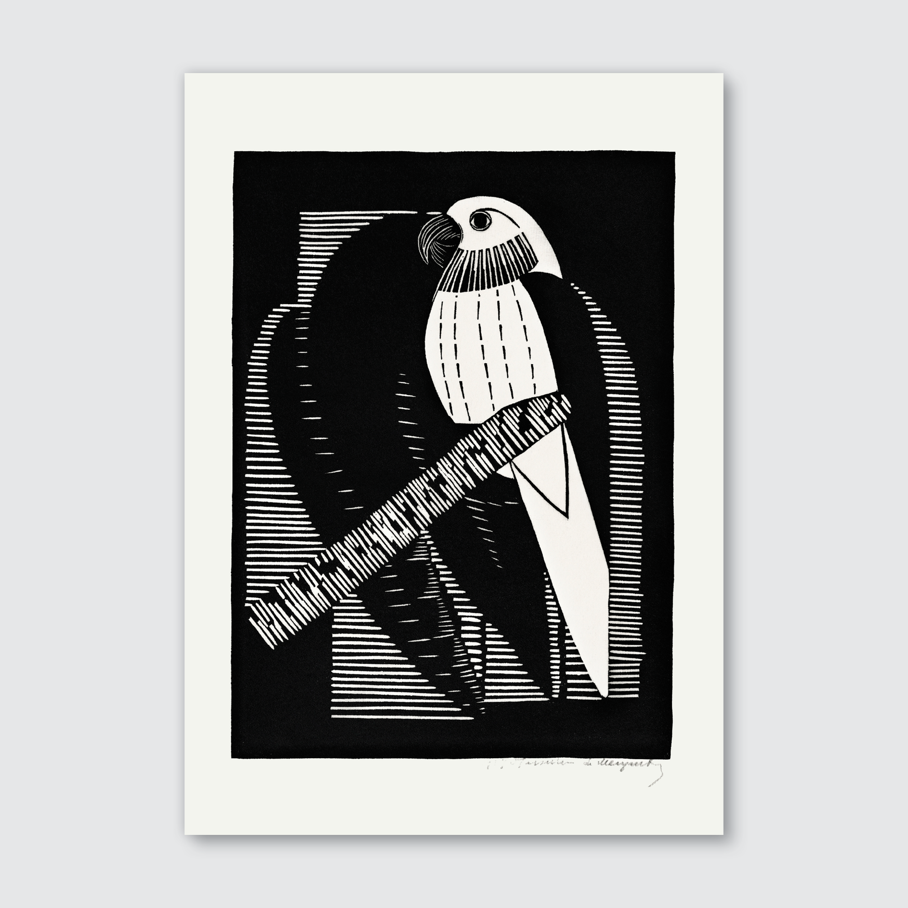 Parakeets (1927)