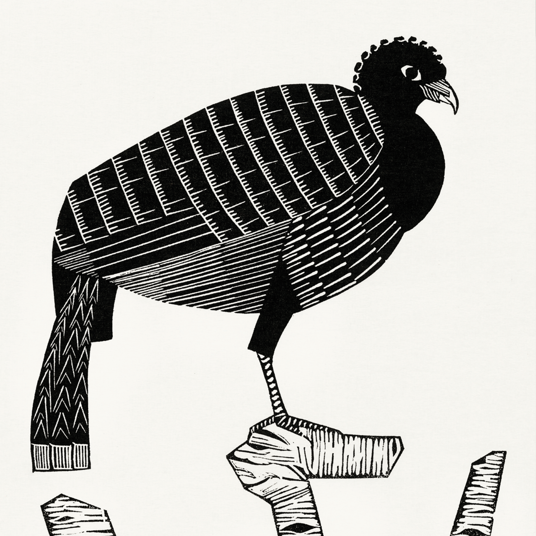 Pauwies (1926)