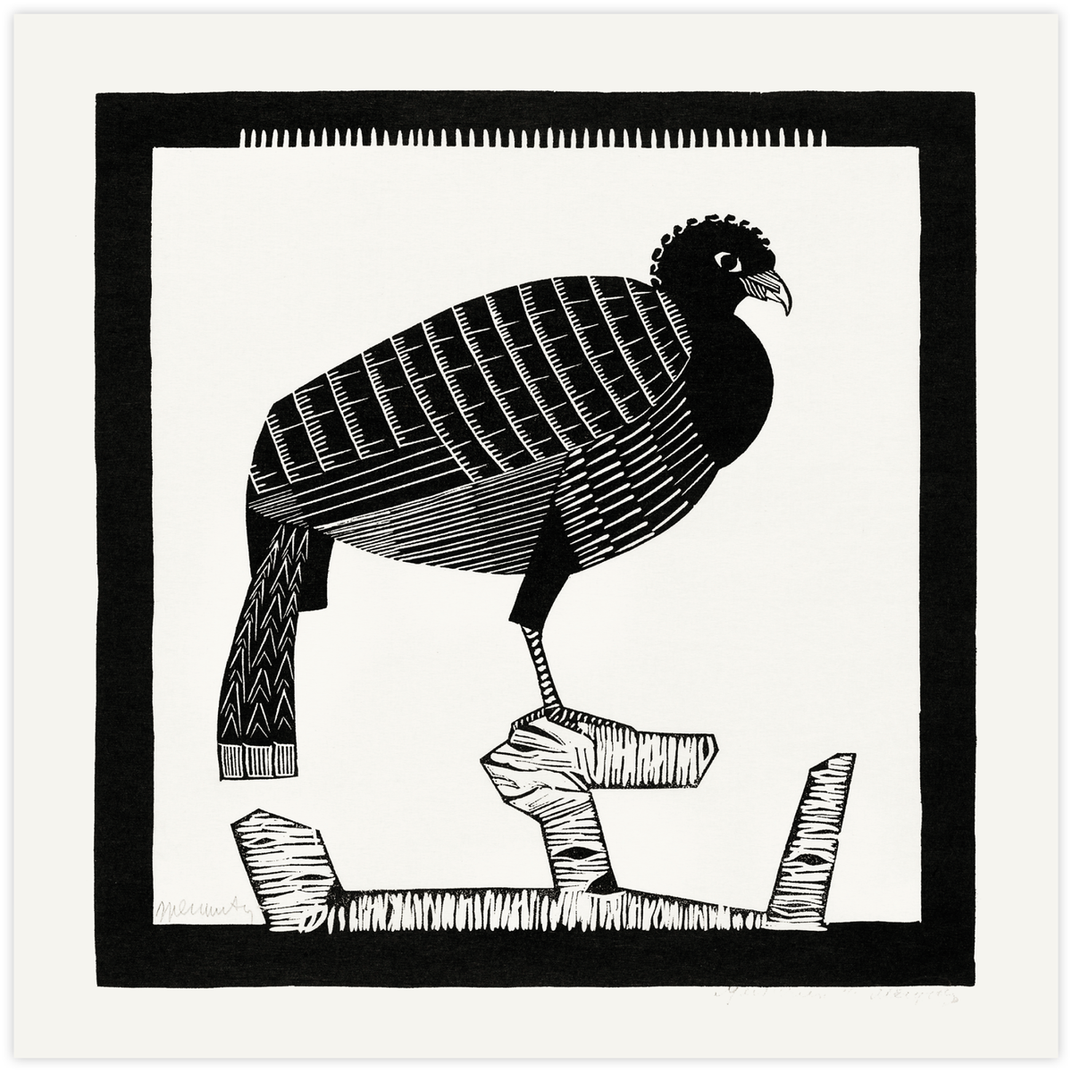 Pauwies (1926)