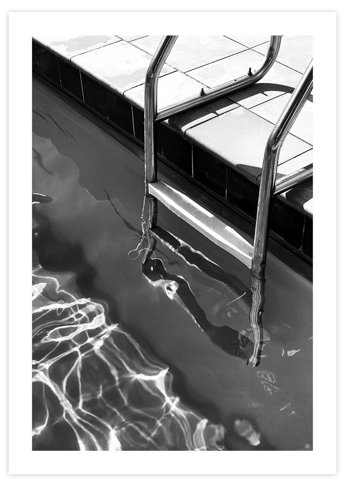 Pool Ladder