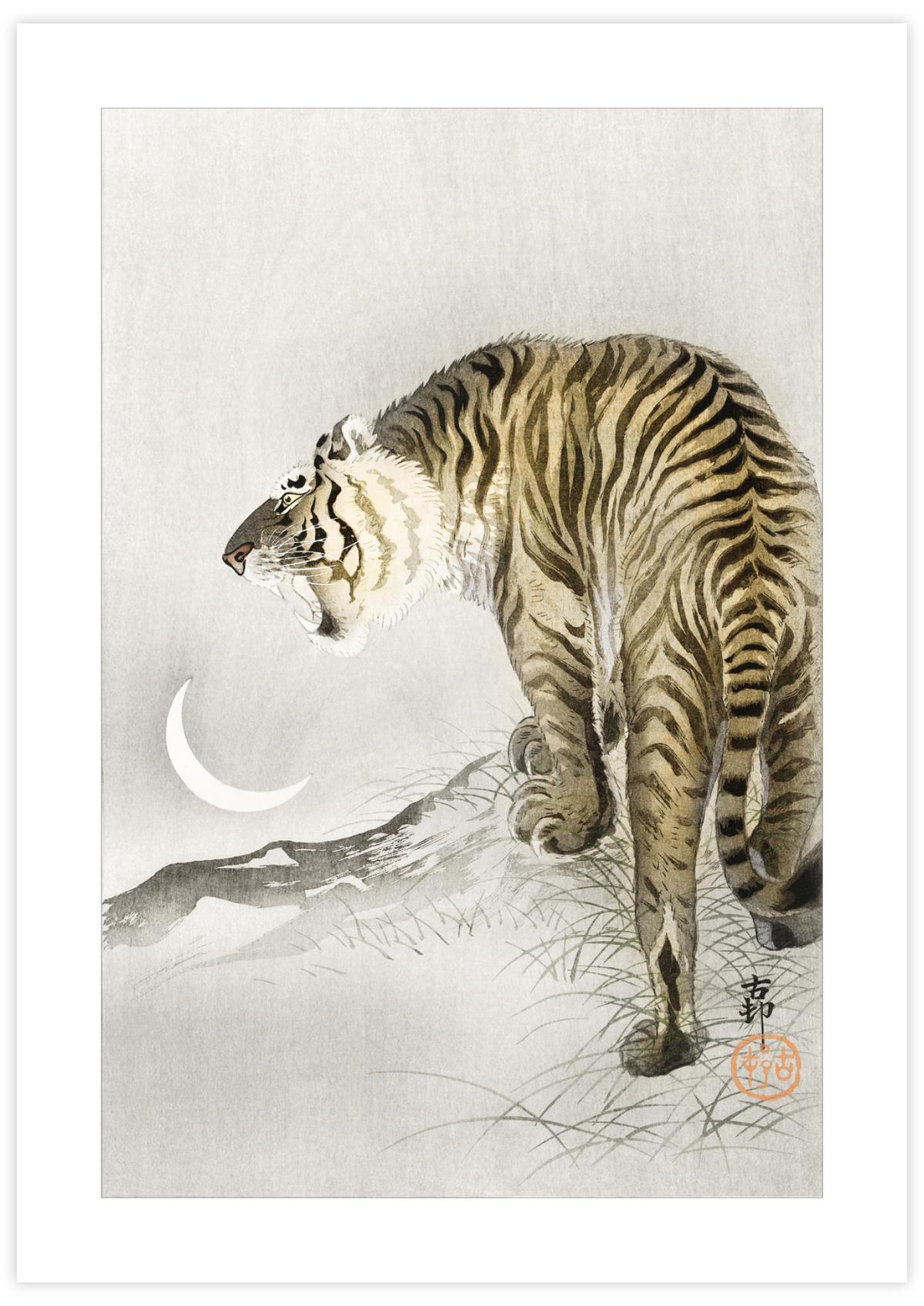 Roaring Tiger