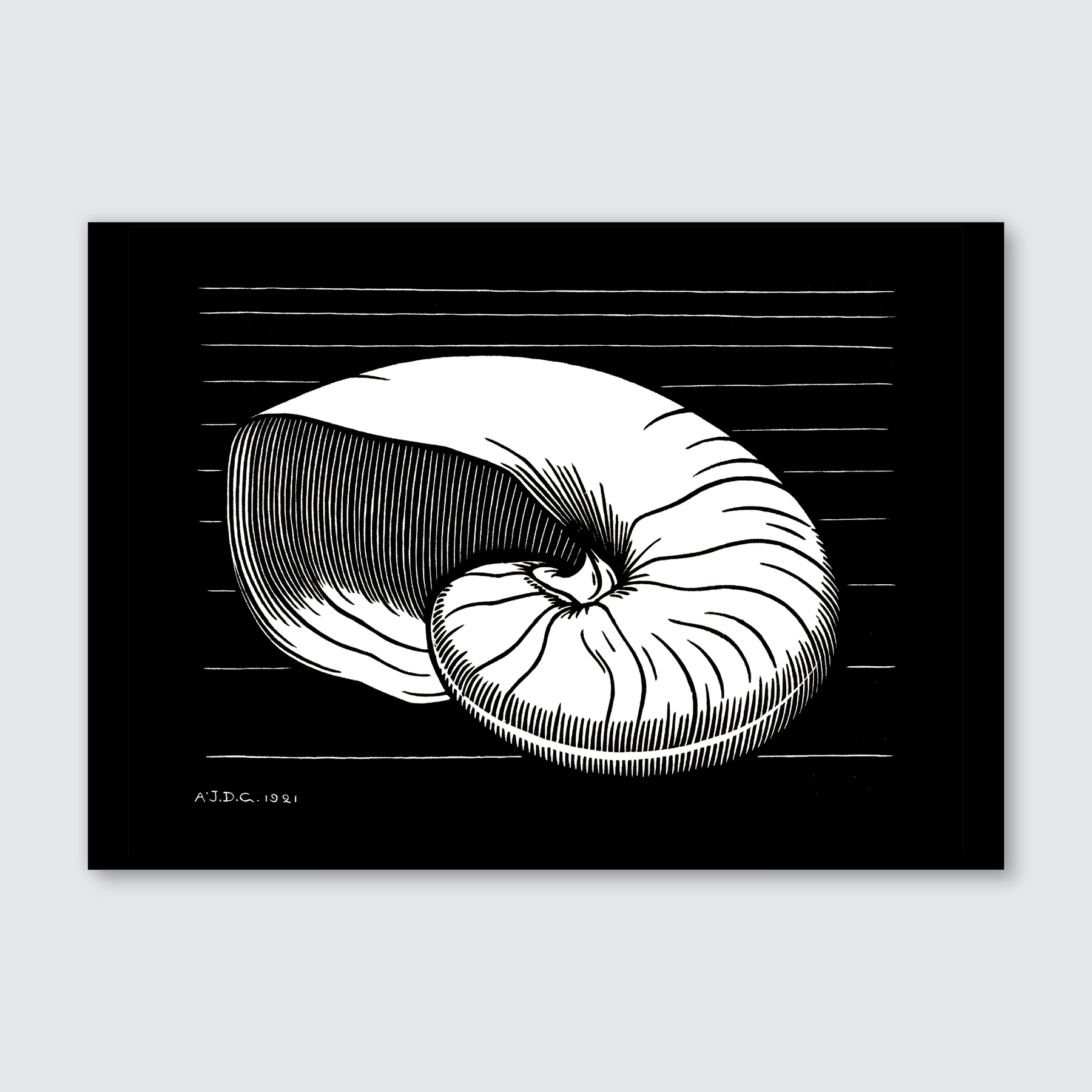 Shell (1921)