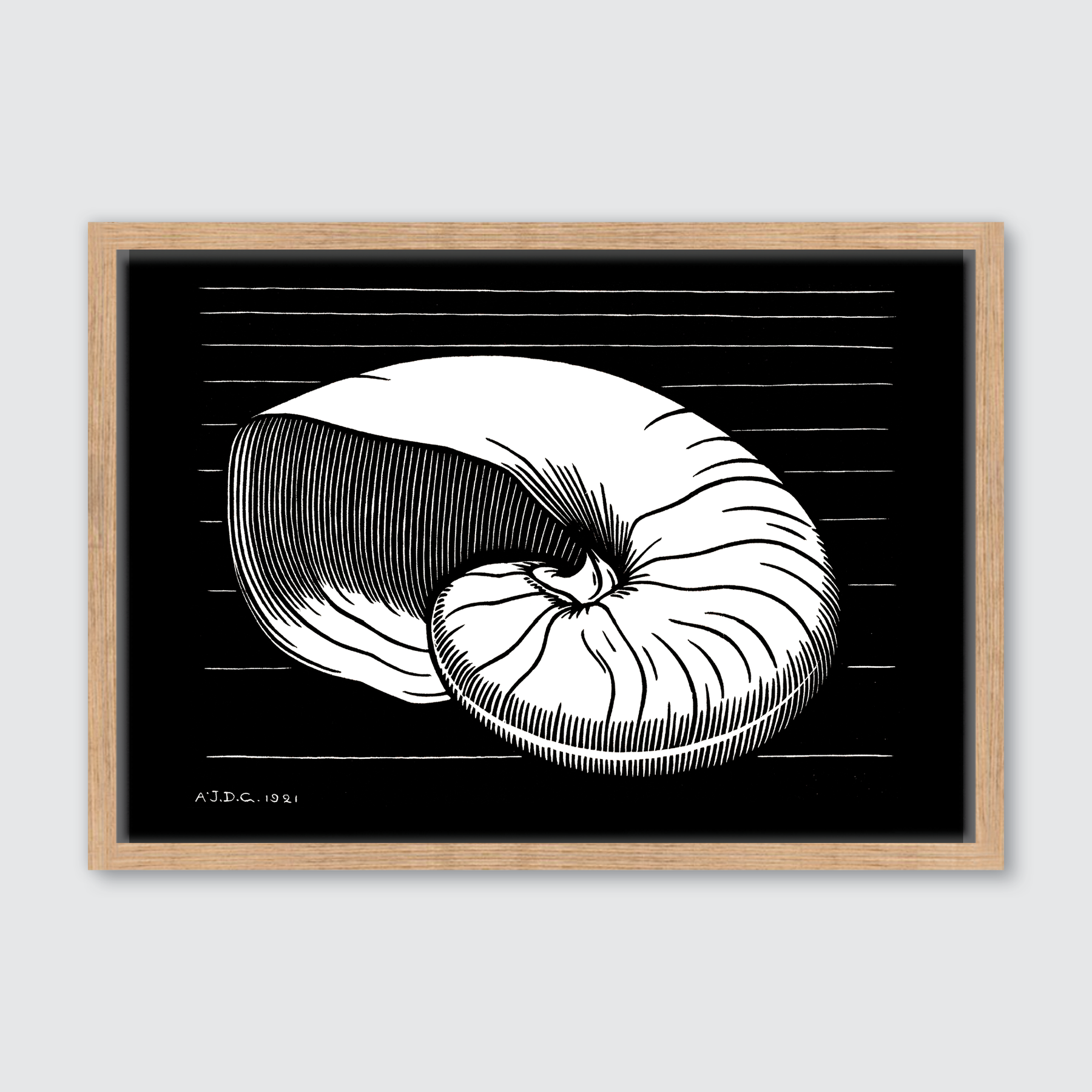 Shell (1921)