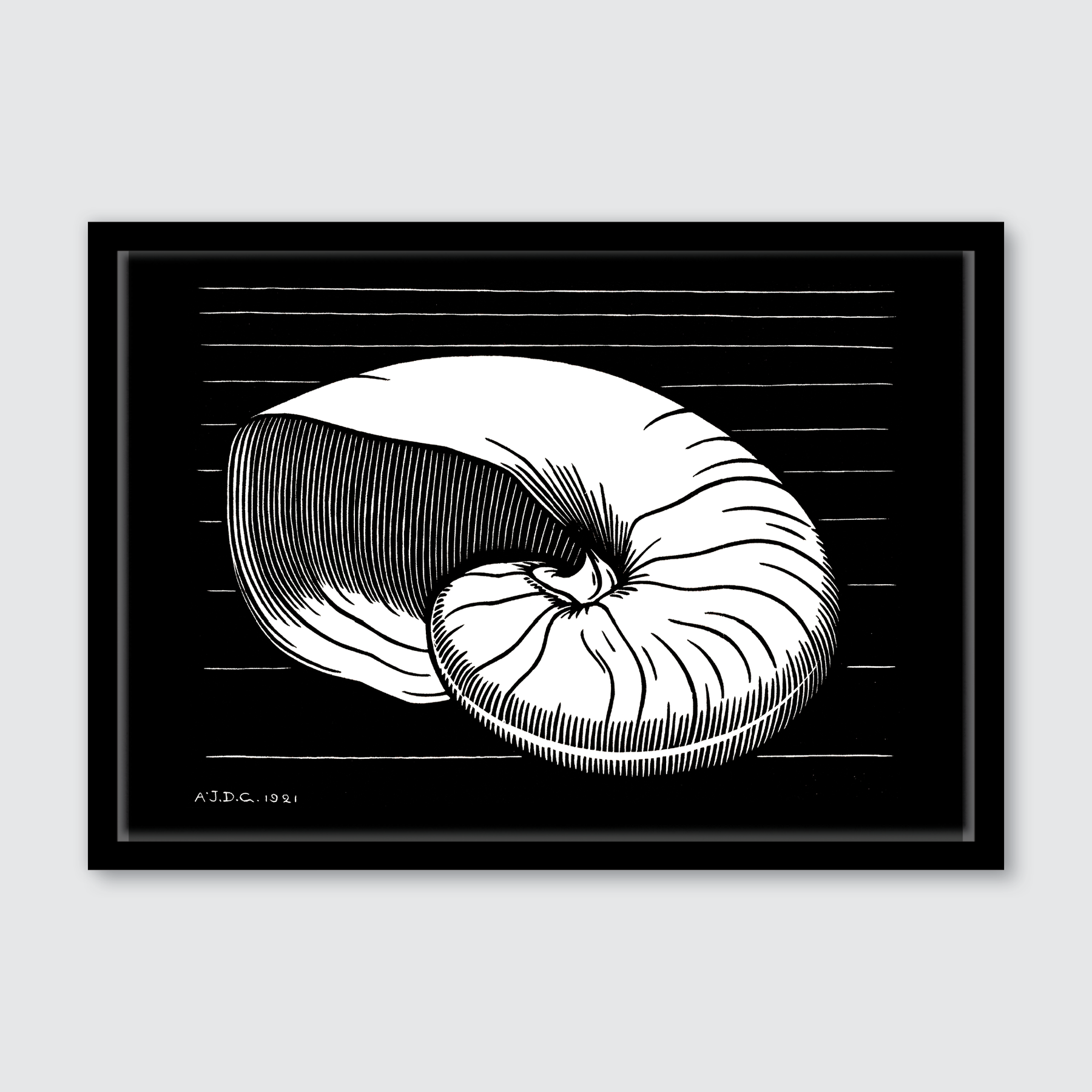 Shell (1921)