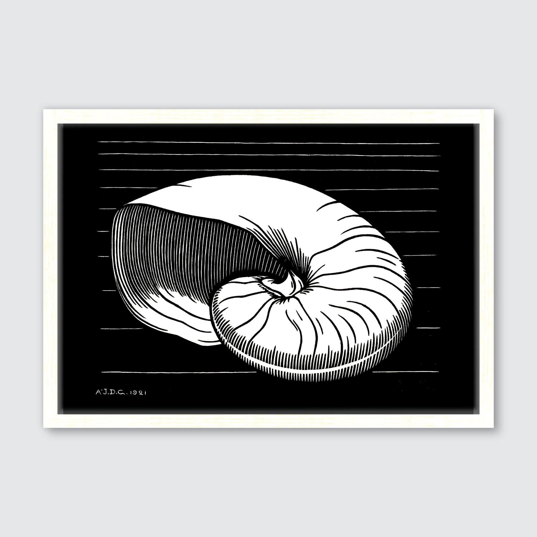 Shell (1921)