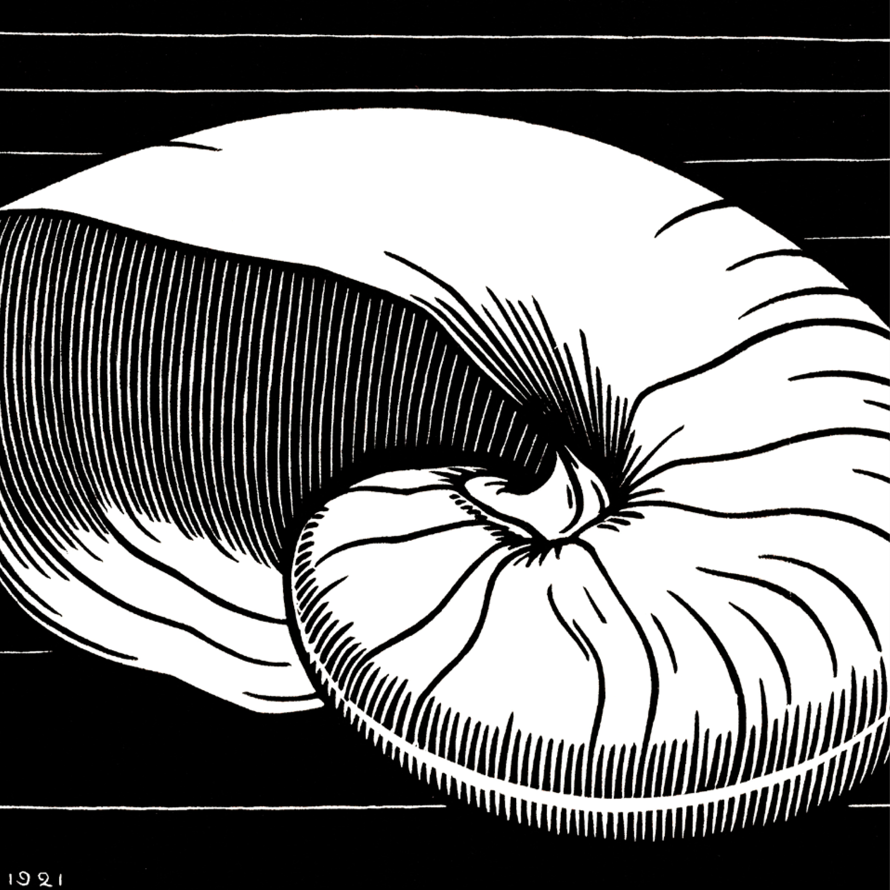 Shell (1921)