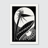 Strelitzia Overblown (1934)