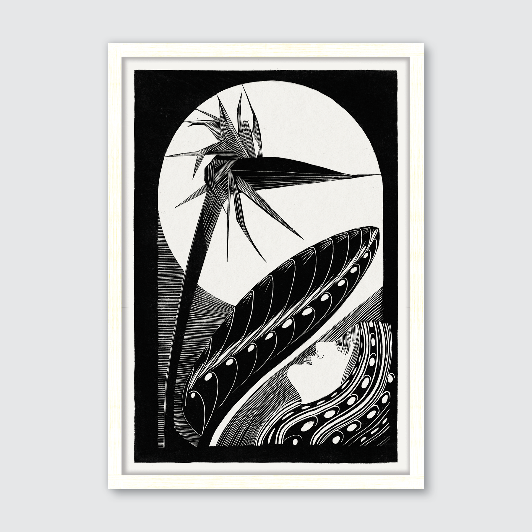 Strelitzia Overblown (1934)