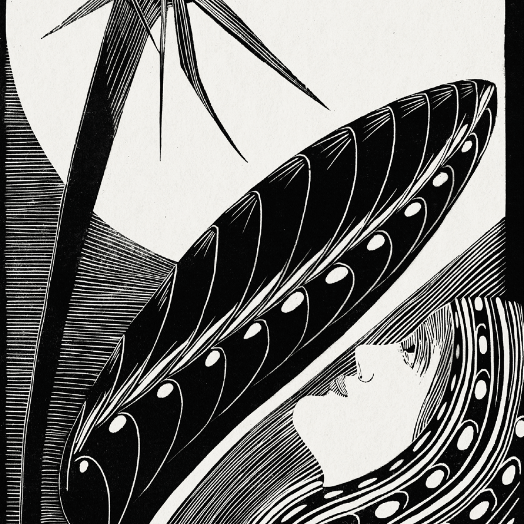 Strelitzia Overblown (1934)