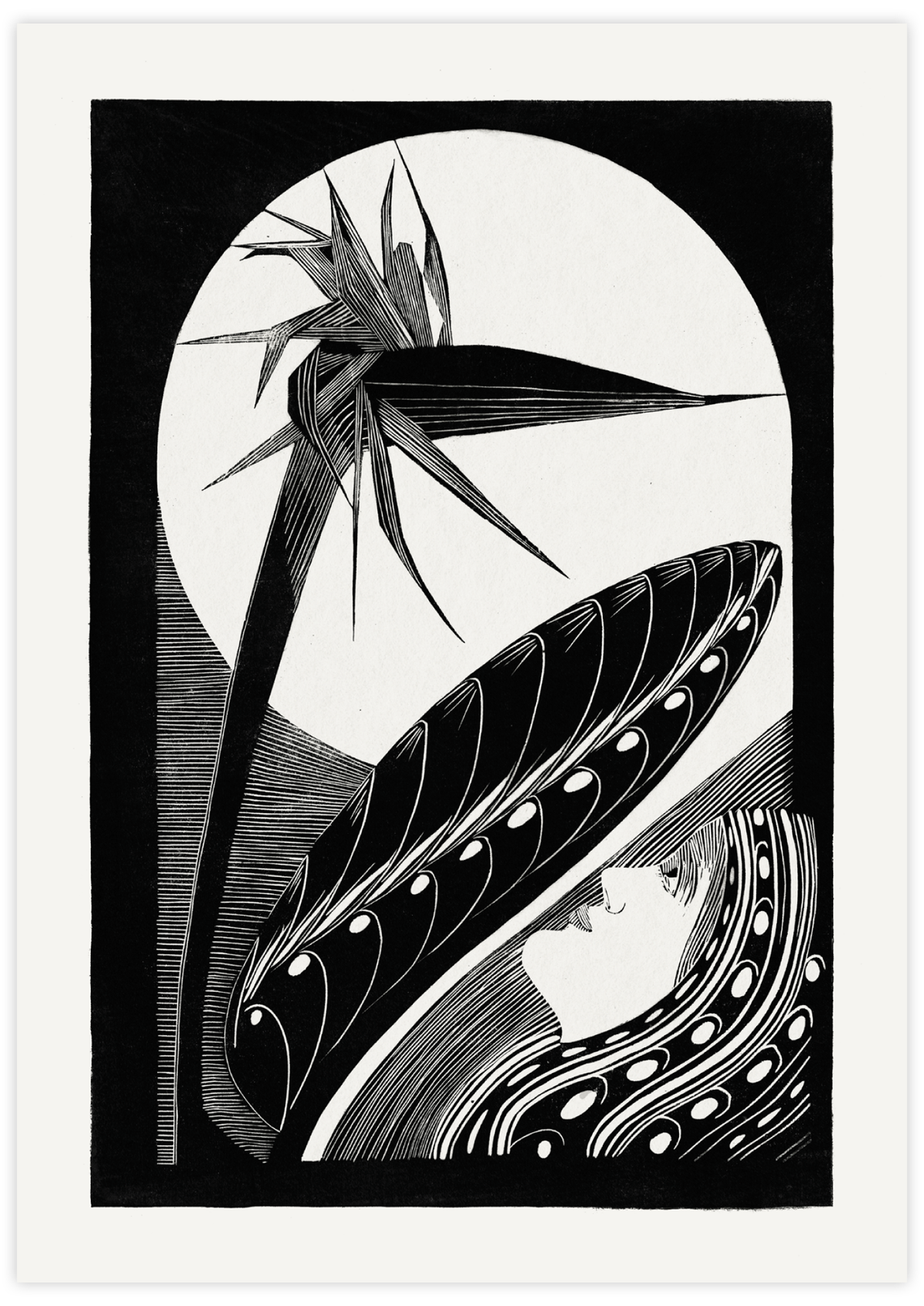 Strelitzia Overblown (1934)