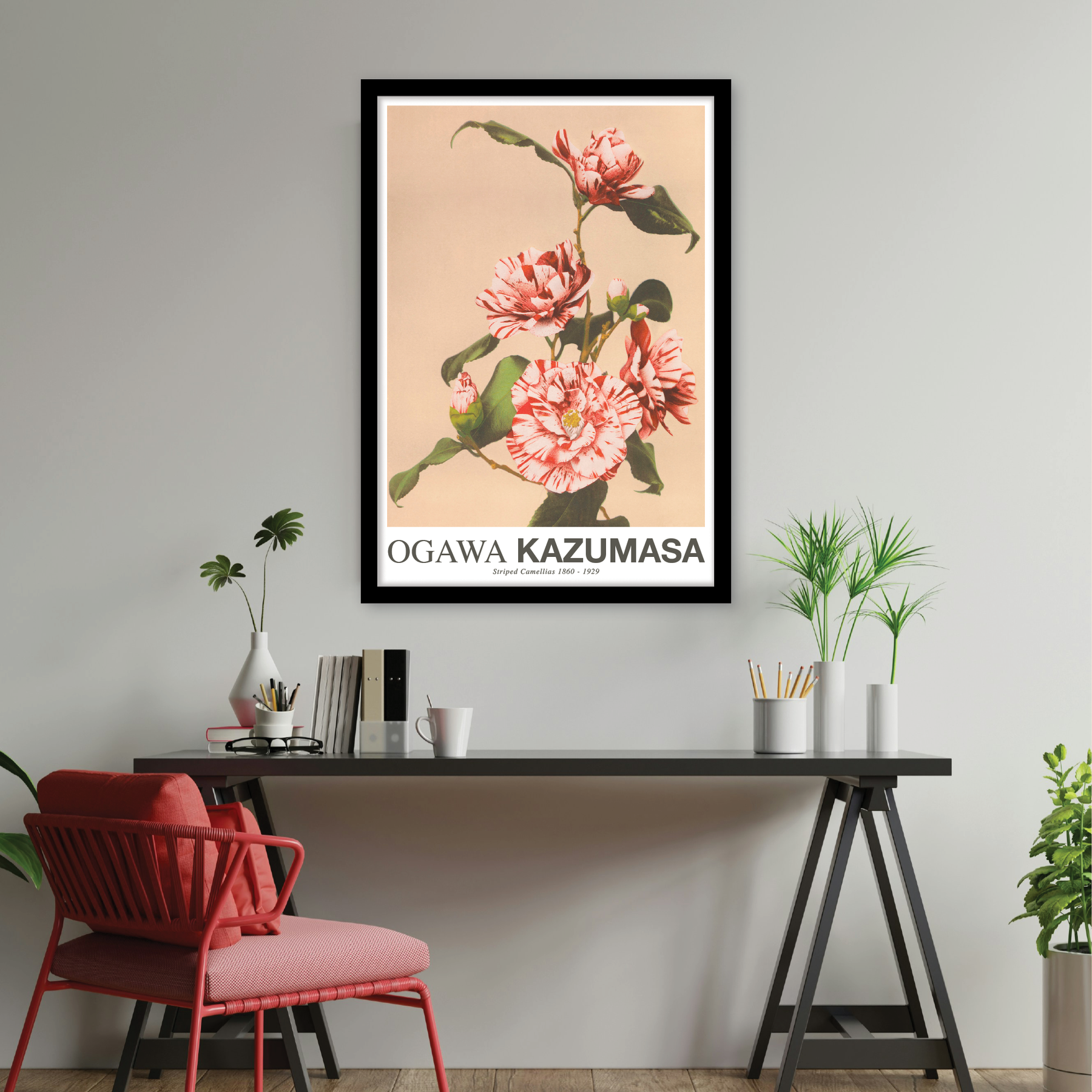 Striped Camellias