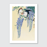 Swallows & Wisteria