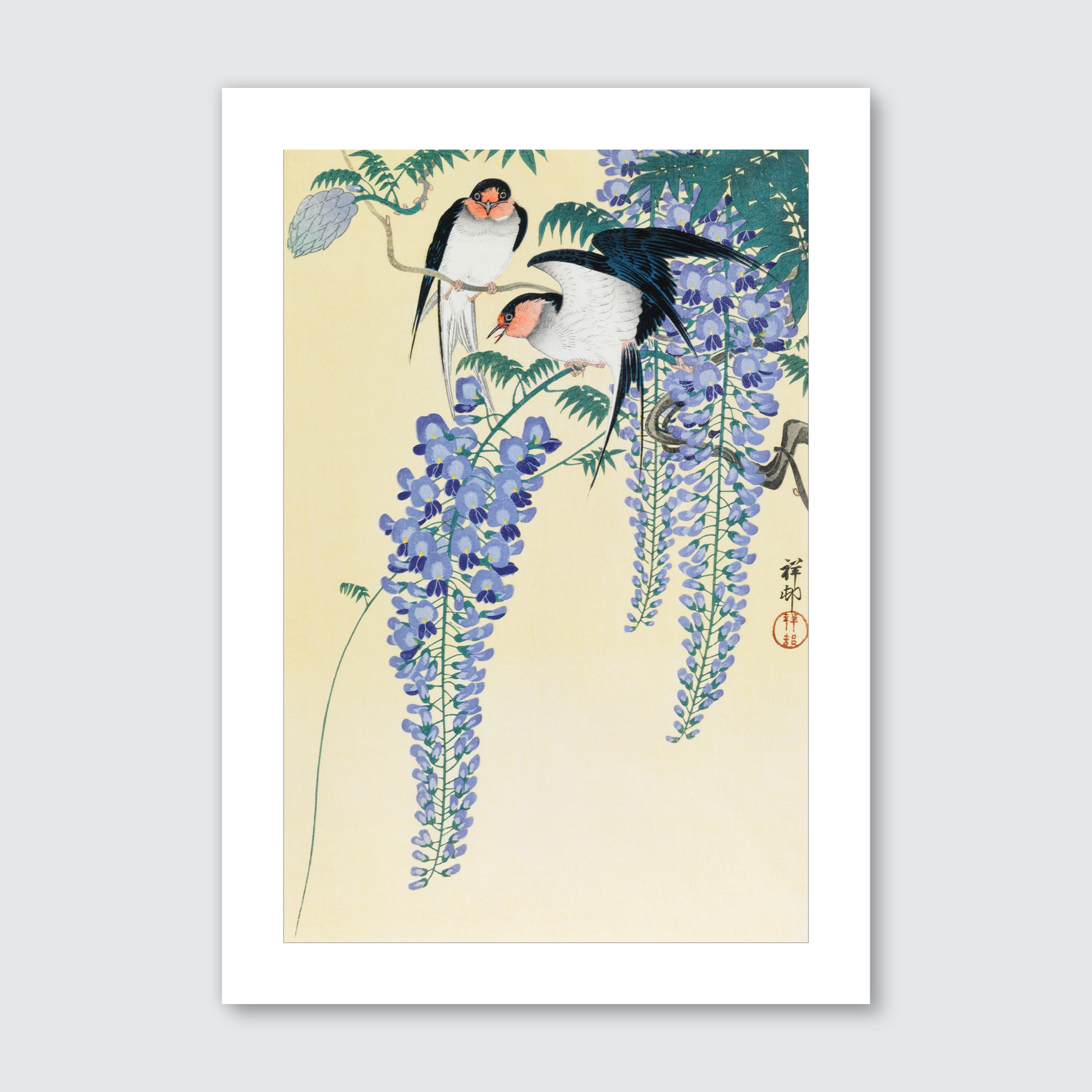 Swallows & Wisteria