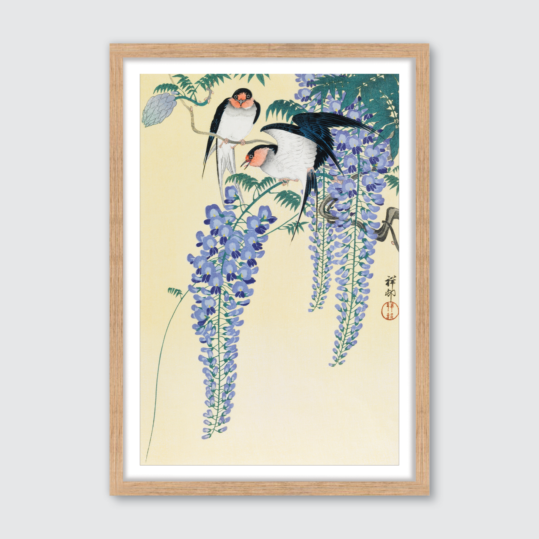 Swallows & Wisteria