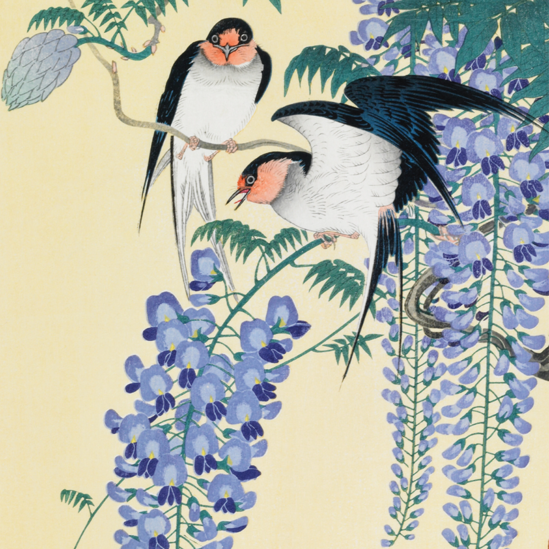Swallows & Wisteria
