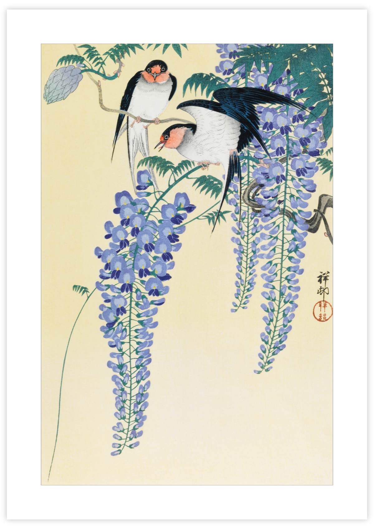 Swallows & Wisteria