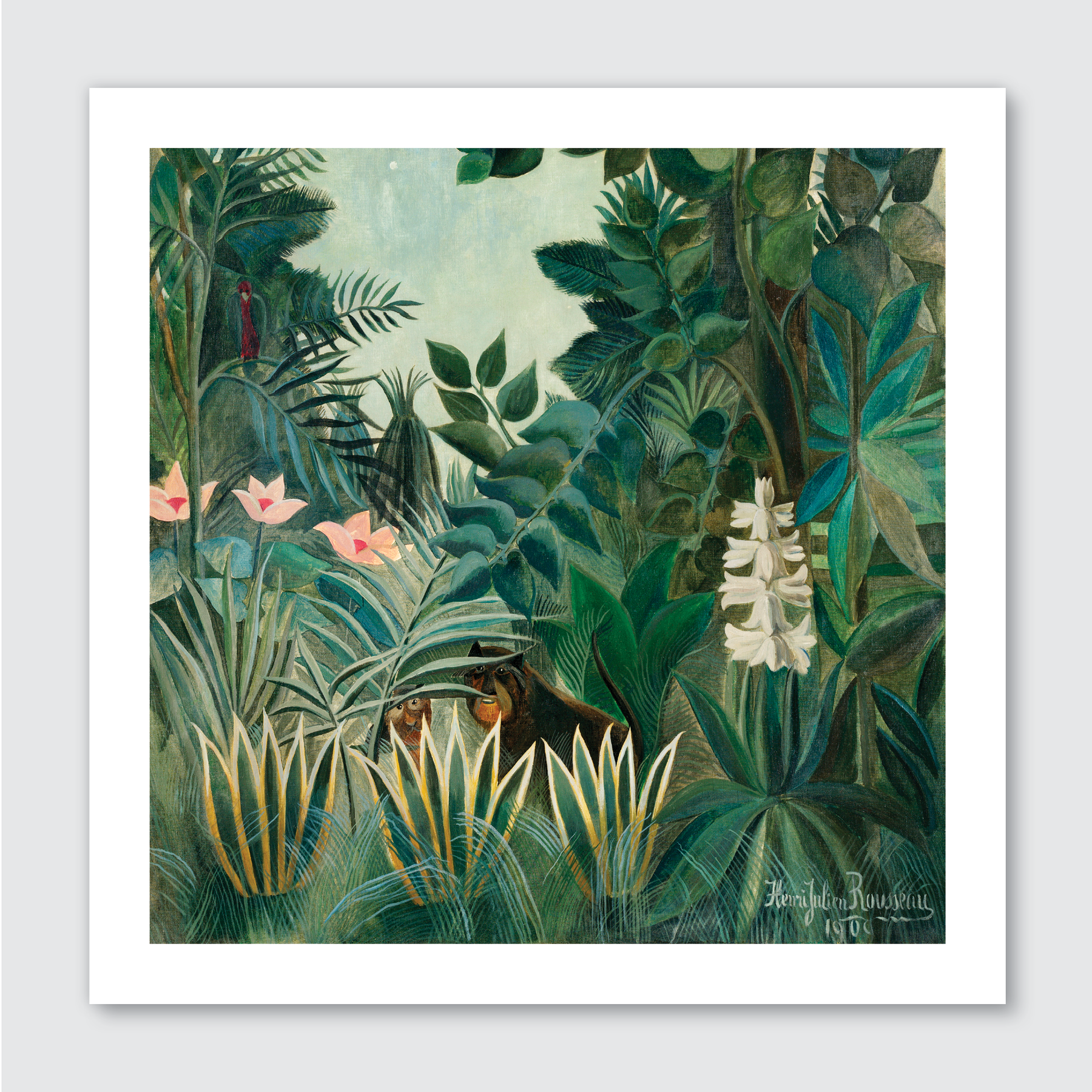 The Equatorial Jungle