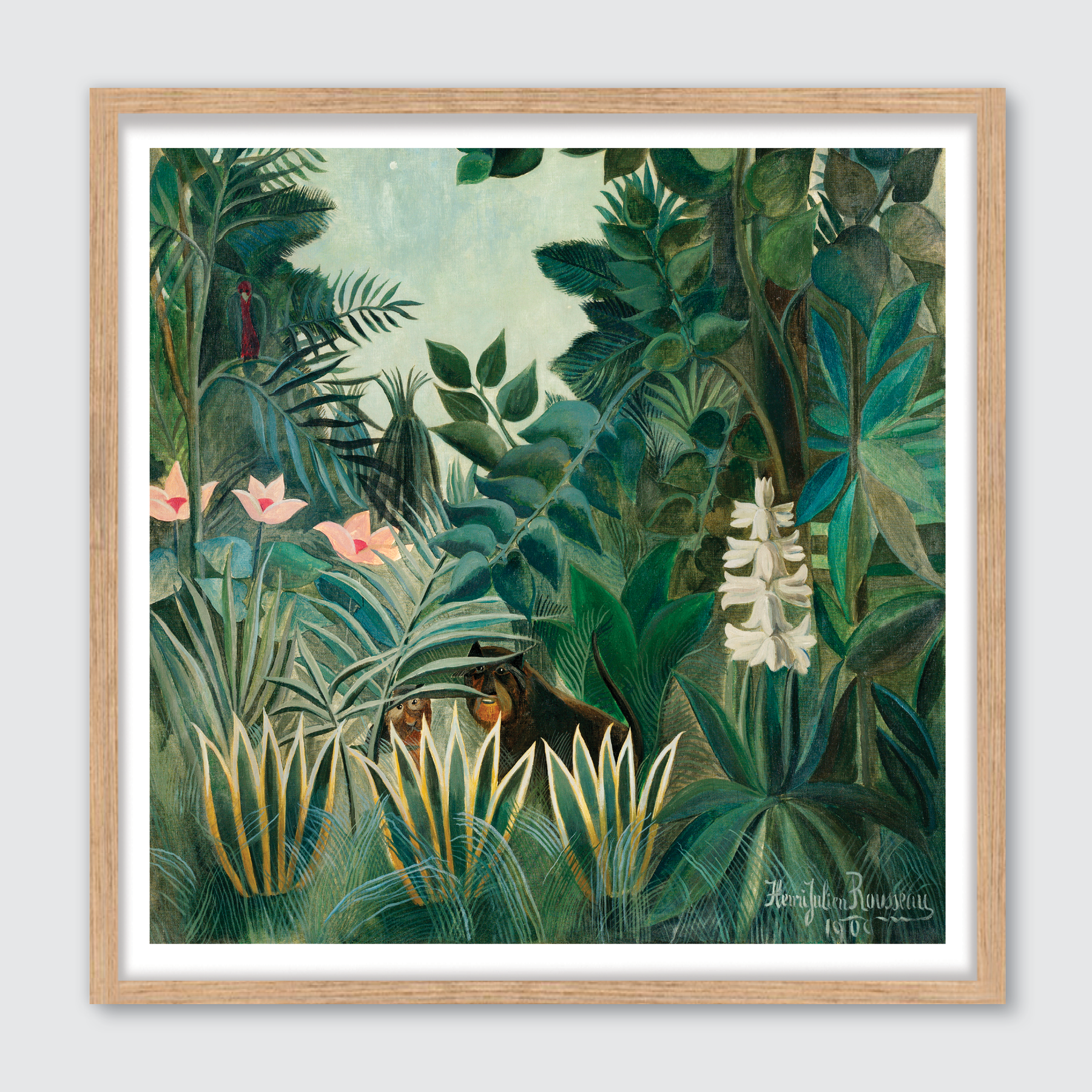 The Equatorial Jungle