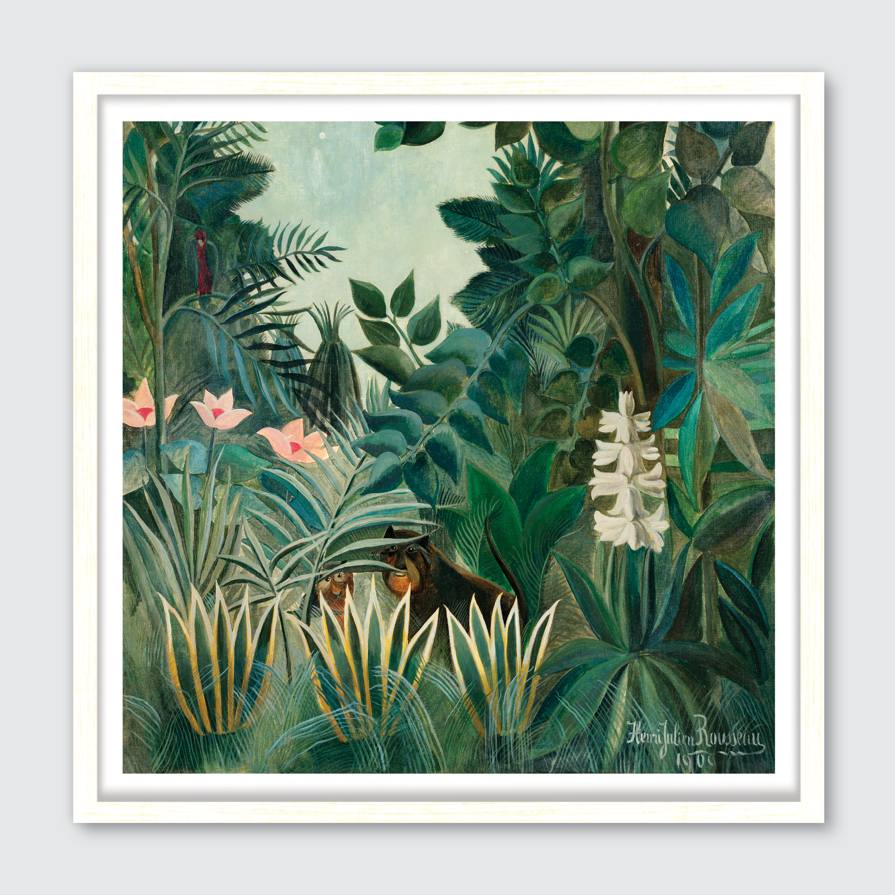 The Equatorial Jungle