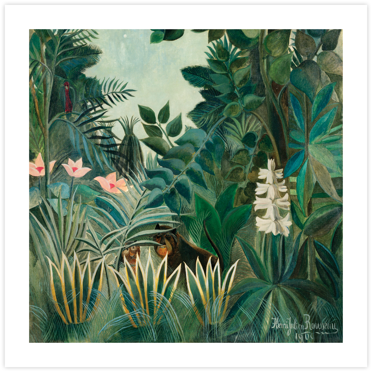 The Equatorial Jungle