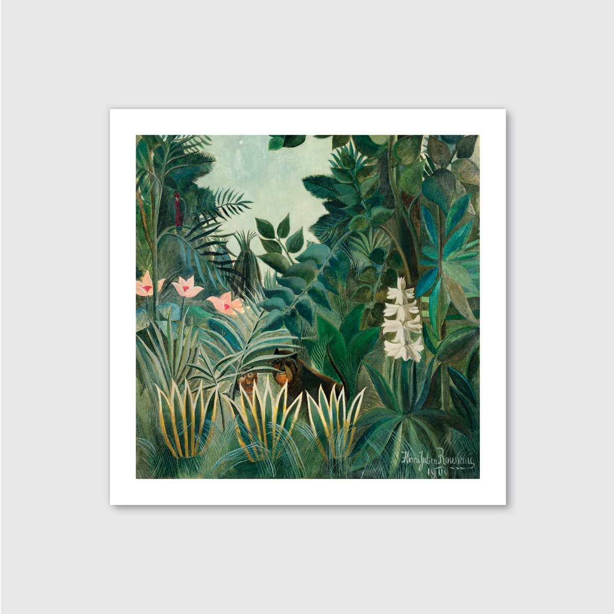 The Equatorial Jungle